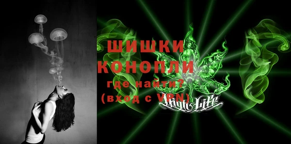 первитин Новозыбков