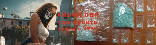 дмт Новодвинск