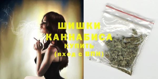 первитин Новозыбков