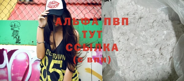 дмт Новодвинск