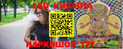 spice Кулебаки